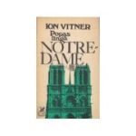 Popas lînga Notre Dame - Ion Vitner