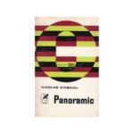 Panoramic - Nicolae Ciobanu